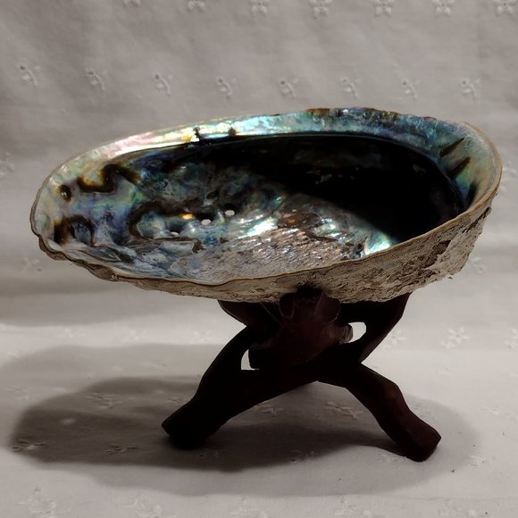 Small Abalone Seashell with stand - Picture 2 of 5